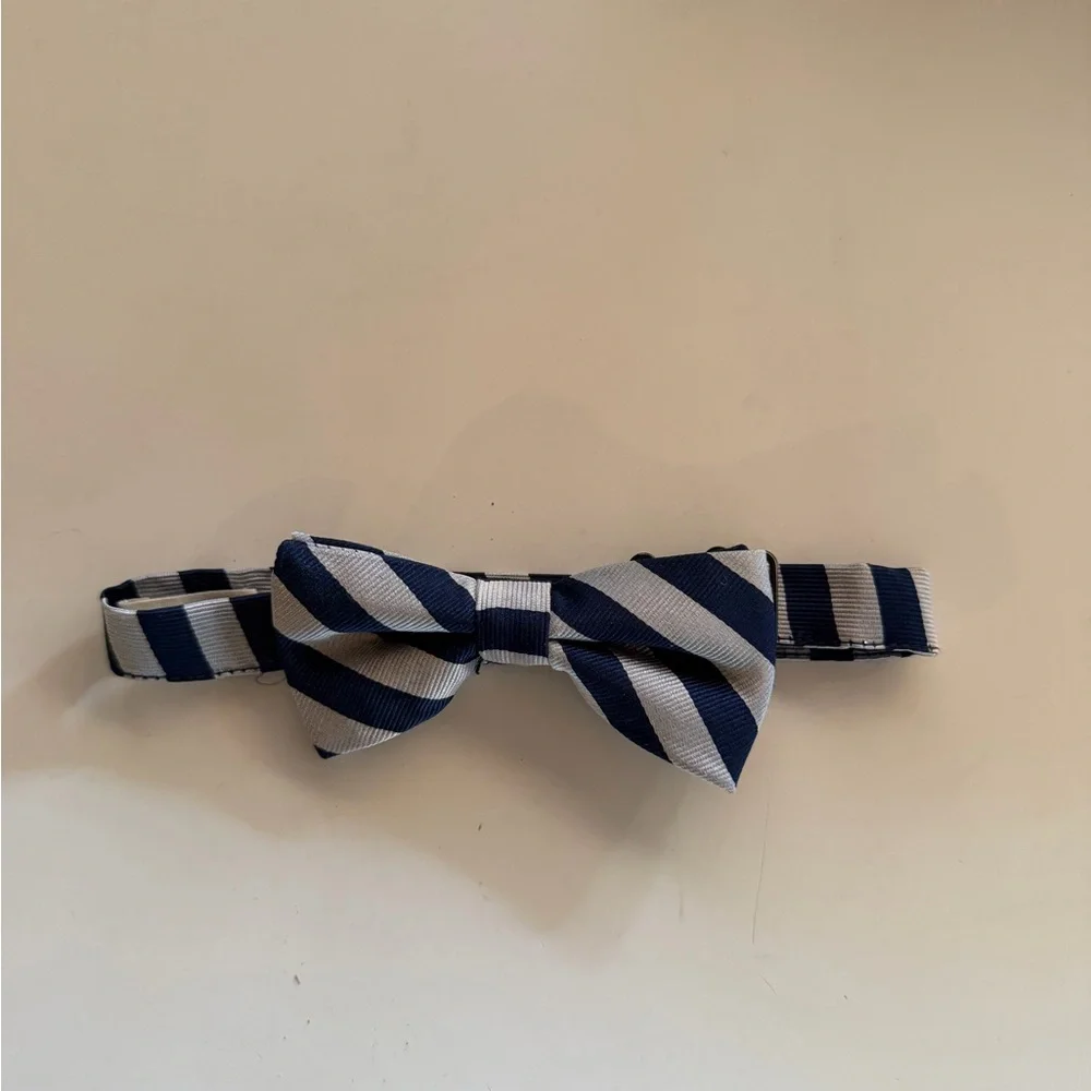 Boy’s Striped Blue and White Crew Cuts (J.Crew) Bow Tie